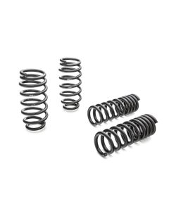 Eibach Pro-Kit for 11-12 Dodge Challenger SE/LC 3.6L V6 - 2895.140