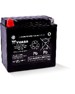Yuasa YTX14 AGM 12V Battery - Maintenance Free