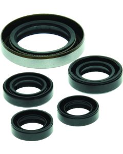 QuadBoss 06-07 Polaris Outlaw 500 Oil Seal Set - 564349
