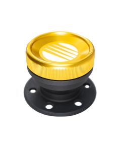 Fuelab Direct Fuel Filler Kit w/Cap - 63711