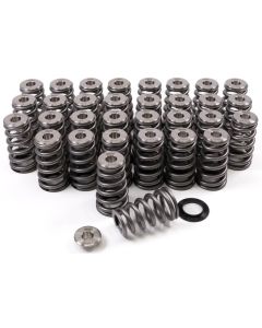 GSC Valve Spring Kits - GSC-5011