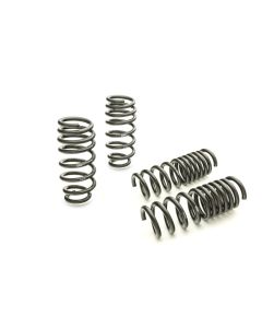 Eibach Pro-Kit for 11-12 Dodge Charger 2WD V6 / 2WD V8 (Will Not Effect Vehicle Height On Scat Pack) - 28105.140