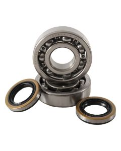 Hot Rods 80-81 KX 125 Main Bearing & Seal Kit - K236