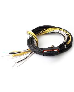 Haltech HPI8 High Power Igniter 2m Flying Lead (Loom Only) - HT-040025