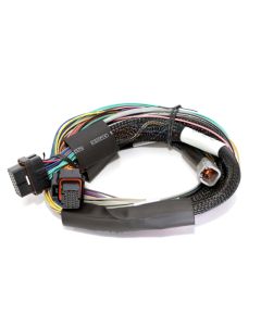 Haltech Elite 2500 8ft Basic Universal Wire-In Harness (No Relays or Fuses) - HT-141302