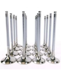 Skunk2 Alpha Series Honda/Acura Stock Size D Series Valve Set (Standard Compression) - 310-05-1600