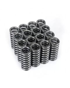 Skunk2 Alpha Series Honda D Series VTEC Valve Spring Set - 311-05-1345