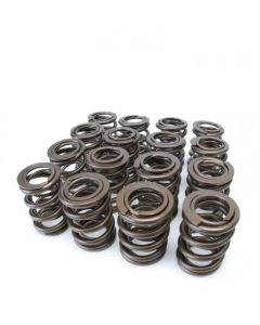 Skunk2 Tuner Series Honda/Acura (H22A/F20B) DOHC VTEC Alpha Valve Spring Set (Dual Springs) - 311-05-1360