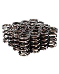 Skunk2 Pro Series Honda/Acura B-Series VTEC XP Valve Spring Set (Dual Springs) - 311-05-7350