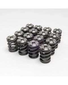 Skunk2 Alpha Series Honda/Acura B Series Valve Spring and Titanium Retainer Kit - 344-05-1300