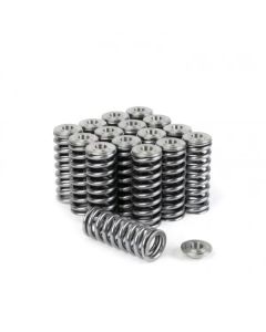 Skunk2 Alpha Series Honda/Acura D Series Valve Spring and Titanium Retainer Kit - 344-05-1350