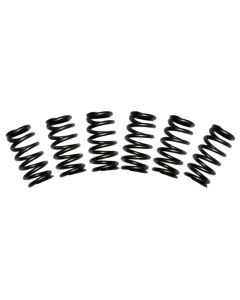 BD Diesel Valve Spring Kit 60lb Cummins 5.9 12-valve - 1030060