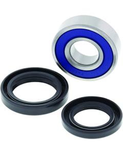 QuadBoss 06-09 Arctic Cat 250 2x4 Lower Steering Bearing Kit - 411432
