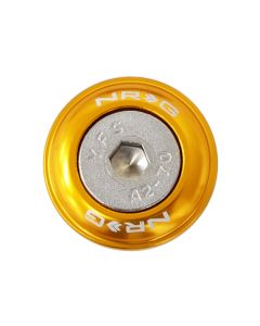 NRG Fender Washer Kit w/Rivets For Plastic (Rose Gold) - Set of 10 - FW-100RG