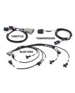 Haltech NEXUS Rebel LS Gen III Cable Throttle/EV1 Injectors/Manual Transmission - HT-220201