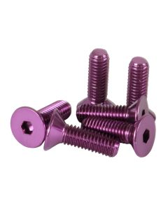 NRG Steering Wheel Screw Upgrade Kit (Conical) - Purple - SWS-100PP