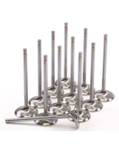 Nissan VR30DDTT Intake Valve Set - GSC-2242-12