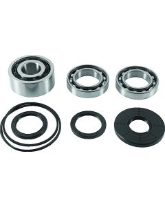 QuadBoss 2017 Polaris RZR 4 900 (02) Front Differential Bearing & Seal Kit - 412647