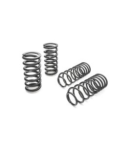 Eibach Pro-Kit for 82-92 F-Body Camaro & Firebird All V8 Models - 3801.140