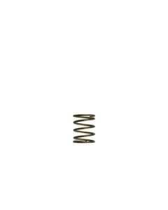 Turbosmart Gen-V WG45/50 3psi Orange Inner Spring - TS-0550-3085