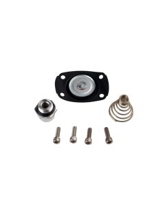 Aeromotive Carb Regulator Repair Kit (for 13201/13205/13211/13215/13217/13251/13255) - 13005