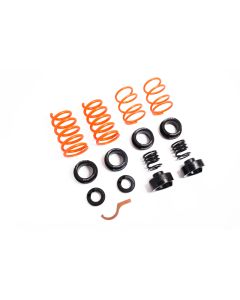 MSS 17-21 Tesla Model 3 Sports Full Adjustable Kit - 02ATESM3