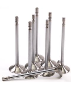 GSC P-D Ford Mustang 5.0L Coyote Gen 3 32mm Head (STD) Super Alloy Exhaust Valve - Set of 8 - 2165-8