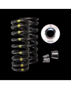 Brian Crower Honda L15B Single Spring/Titanium Retainer/Keeper Kit - BC0088