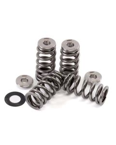 GSC P-D 2017+ Audi RS3 DAZA Beehive Valve Spring and Ti Retainer Kit (60PSI Max Boost) - 5096