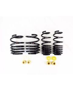 RS-R 2023+ Honda Civic Type R (FL5) Down Sus Springs - H035D