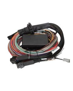Haltech Elite 1500 8ft Premium Universal Wire-In Harness - HT-140904