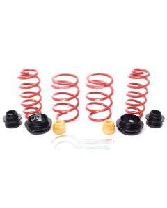 H&R 18-21 Audi RS3 (AWD) Typ GY VTF Adjustable Lowering Springs (w/ RS-Sport Sus.) w/DCC - 23027-1