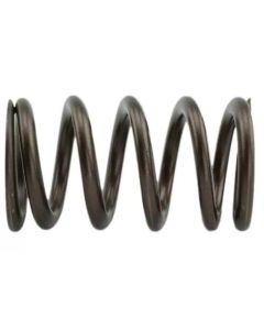 Industrial Injection 110 LBS Single Valve Spring Set - PDM-160-1484S-24