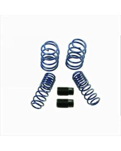 Ford Racing 2005-2014 Mustang GT 1.0in. Track Lowering Springs - M-5300-PA