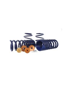Ford Racing 15-22 Mustang Track Lowering Spring Kit - M-5300-YA