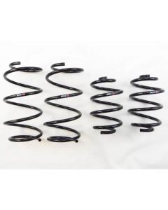 RS-R 13+ Nissan Sentra (TB17 (B17)) Down Sus Springs - N205D
