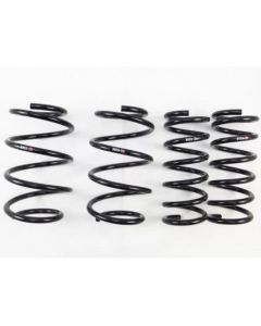 RS-R 13+ Nissan Altima (L33) Down Sus Springs - N920D