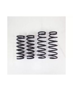 RS-R 2011-2019 Infiniti M37x /Q70 V6 AWD (KNY51) Down Sus Springs - N282D