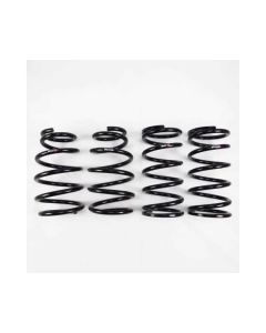 RS-R 2015+ Lexus RX450h AWD Down Sus Springs (Special Order No Returns) - T299D