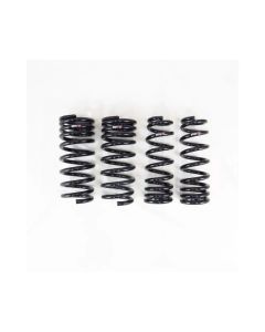 RS-R 2022 Lexus IS500 Down Sus Springs - T594D