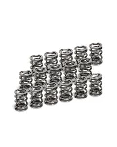 Supertech Honda B16A/B17A/B18C Dual Valve Spring - Set of 16 - SPR-H1002D-16