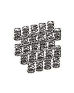 Supertech BMW M50/M52/S50/S52 Dual Valve Spring - Set of 24 - SPR-H1005D-24