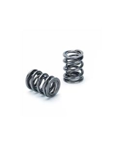 Supertech VW VR6 24V R32 Dual Valve Spring Kit - SPRK-TC25D-VR6
