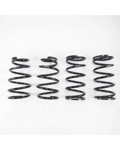 RS-R 10-15 Lexus RX350 AWD Down Sus Springs - T278D