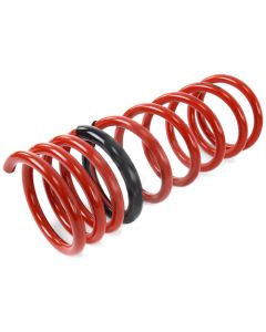 Tanabe NF210 Springs 06-07 GS300 - TNF112