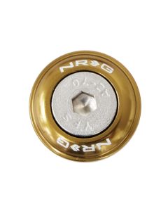 NRG Fender Washer Kit w/Rivets For Plastic (Titanium) - Set of 10 - FW-100TI