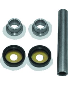 Premium QBS King Pin Kits - QUAD-413541