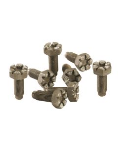 Ford Racing 4.6L Manual Flywheel Bolts - M-6379-B
