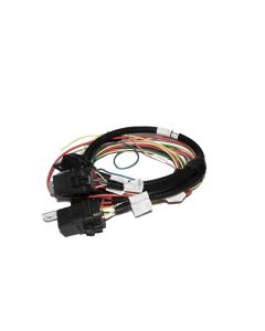FAST Harness FAST Fan And Fuel Pump - 301406