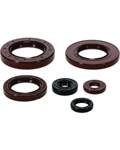 QuadBoss 2022 Can-Am Commander 700 DPS Oil Seal Set - 564684